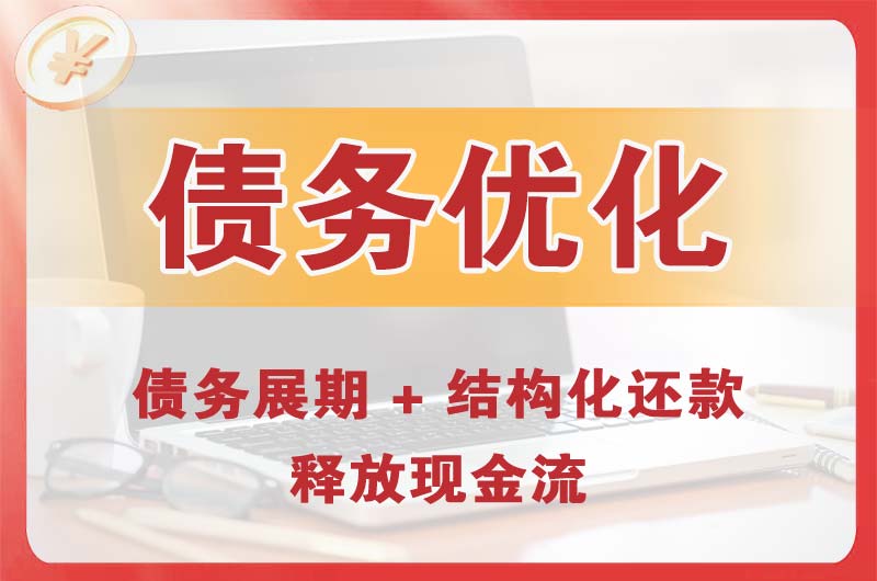 临安债务优化