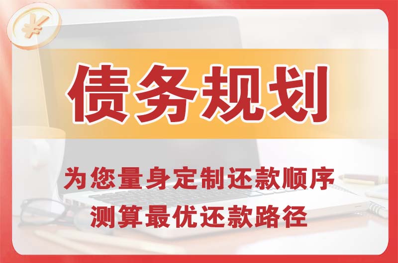 临安债务规划